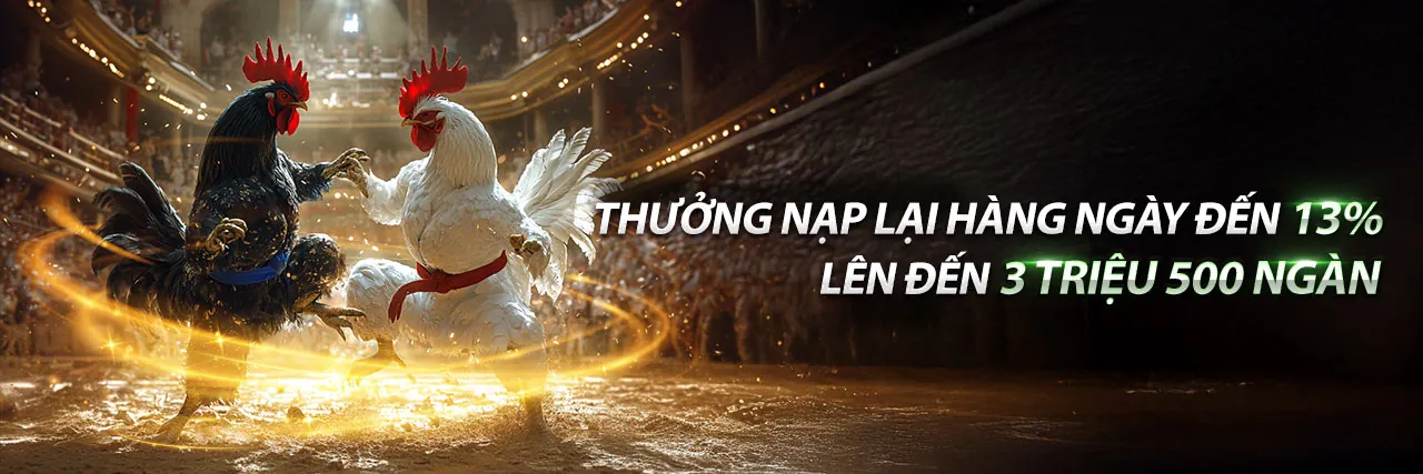 Hình ảnh chính về các ưu đãi hấp dẫn tại gi8 info